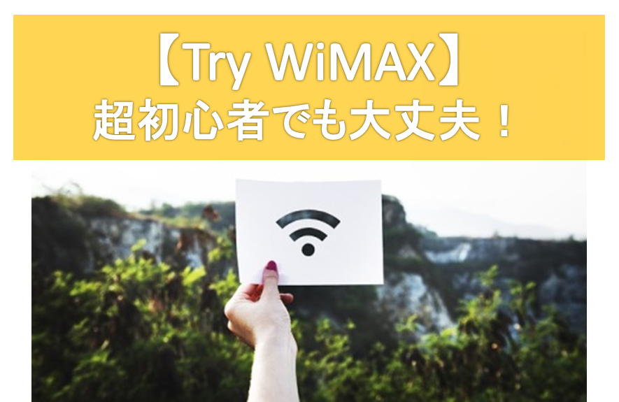 TryWiMAX！